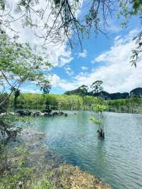 Natural zen oasis