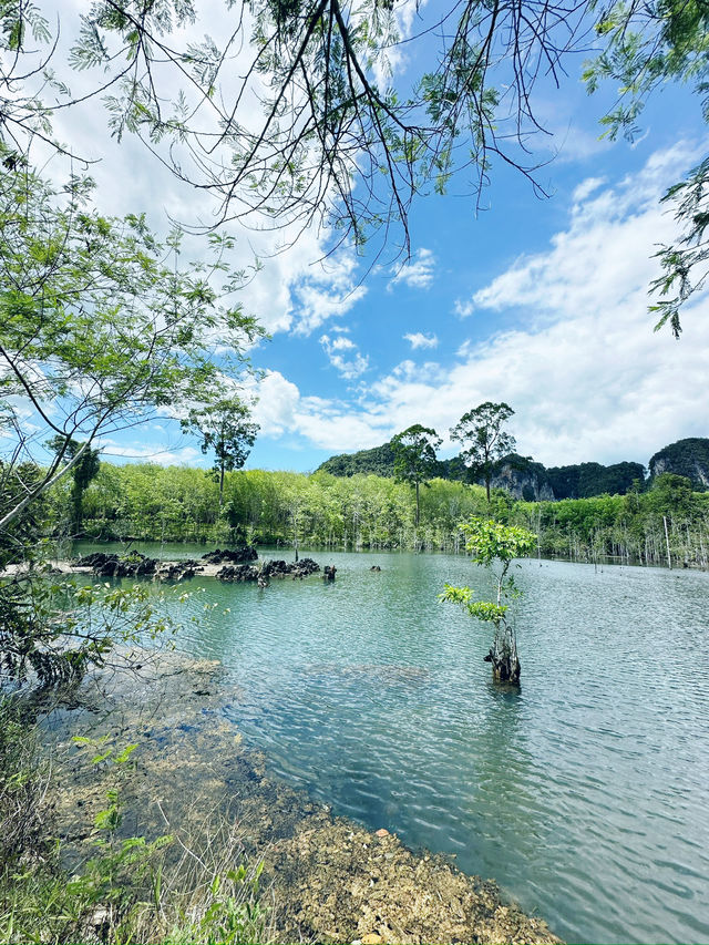Natural zen oasis