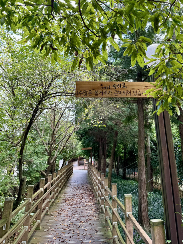 숲속에서 건강한 힐링데이트🌿