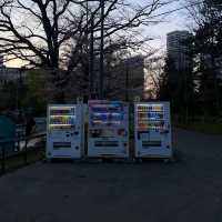 Nakajima Park