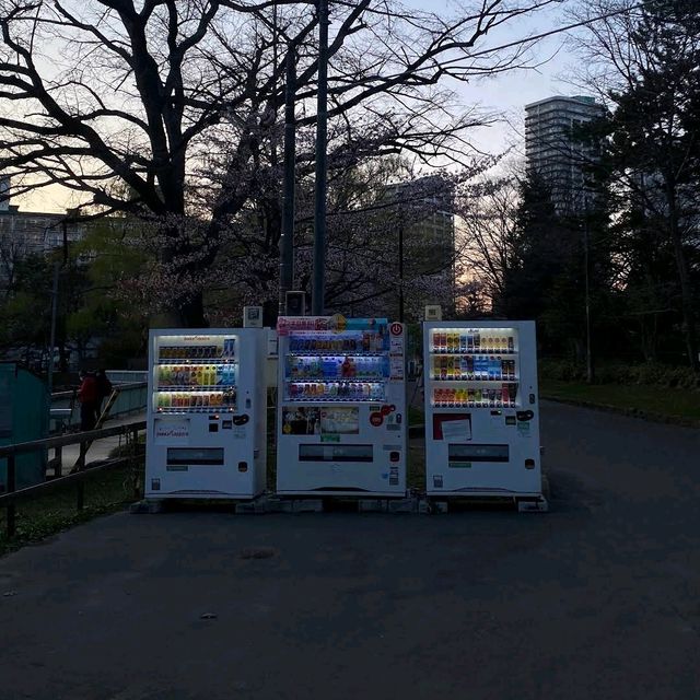 Nakajima Park