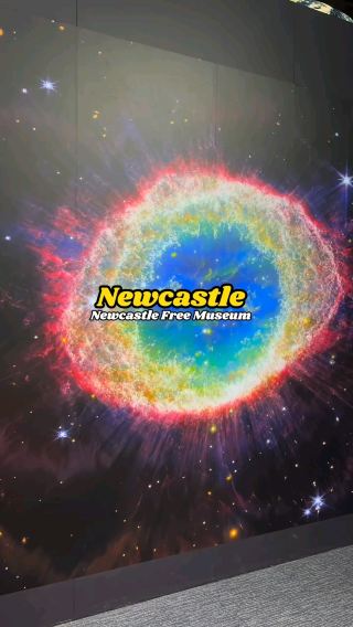 A must-see place in Newcastle, Newcastle Museum! 🏛️✨