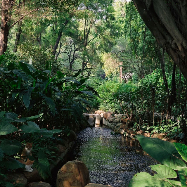 珠海中山公園｜空氣清新休閒之地