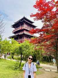 🌿🏔️Zhangjiajie: A Must-Visit Floating Mountains & Scenic Trails 