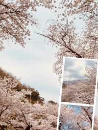 A Spiritual Spring Retreat 🧘‍♂️🌸