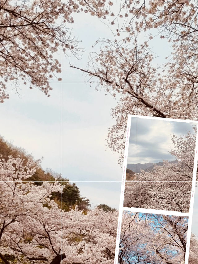 A Spiritual Spring Retreat 🧘‍♂️🌸