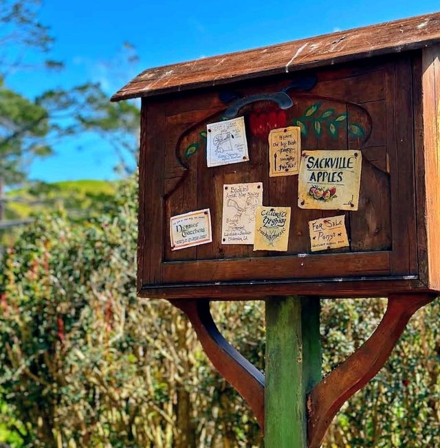紐西蘭北島必訪，參觀哈比人的電影小屋 Hobbiton Movie Set Tours