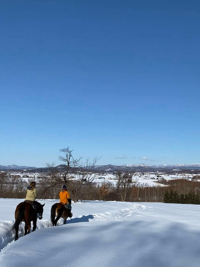 北海道旭川必體驗🐎夢幻雪地行程（老少咸宜）