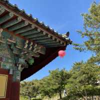 경주 벚꽃 명소 추천 세계문화유산  ▪️불국사