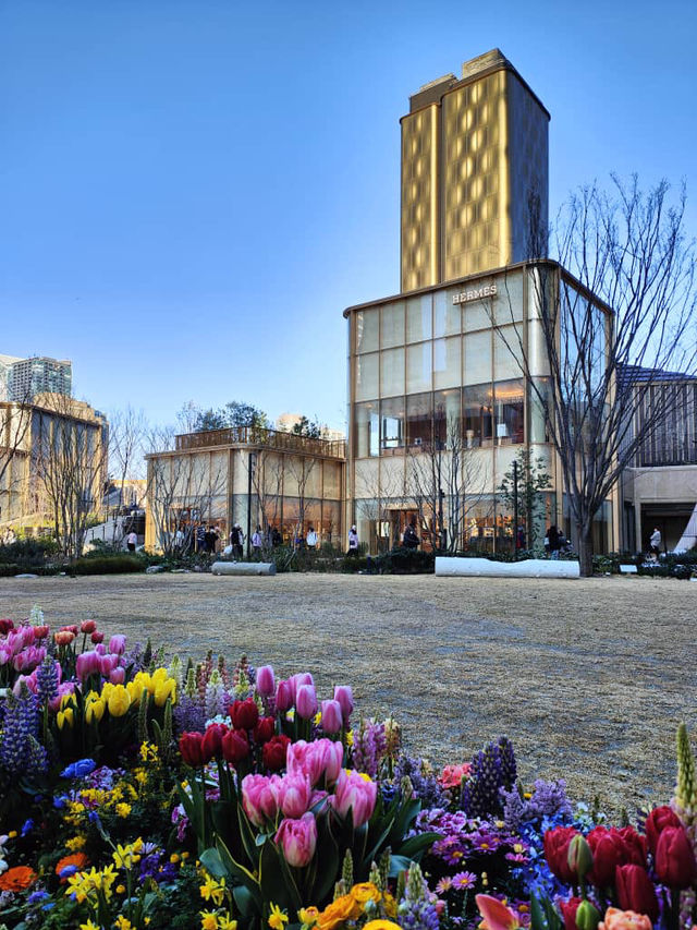 Beautiful spots in Tokyo 