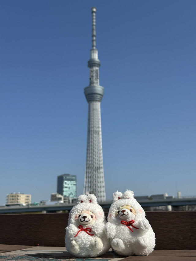 🌸【2025東京晴空塔櫻花暴擊！】  