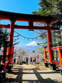 まるで日本の絵葉書✨新倉山浅間公園で絶景富士ビュー！
