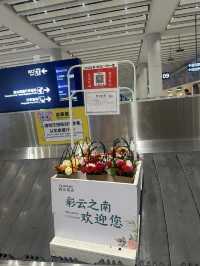 【中国🇨🇳昆明】お花いっぱいの空港✈️