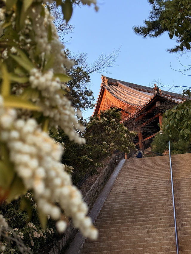 廣島｜宮島最大的木造建築 四百年未完工的千疊閣看宮島興衰繁華