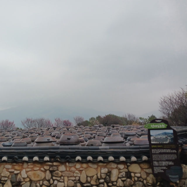 "봄날의 꿈, 청매실농원에서 매화꽃과 함께"