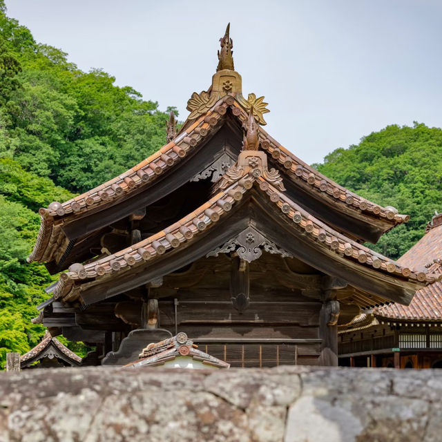 天叟禪寺～心之靜謐