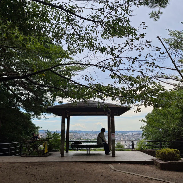 米之山展望台·壯麗景色