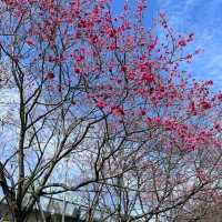 內湖樂活公園