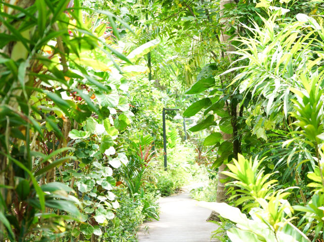 คาเฟ่ในสวนมะพร้าว ที่ Gansdal Amphawa 