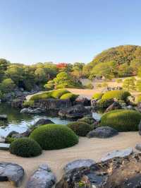 本当に日本一美しい庭園？｜足立美術館の魅力とは