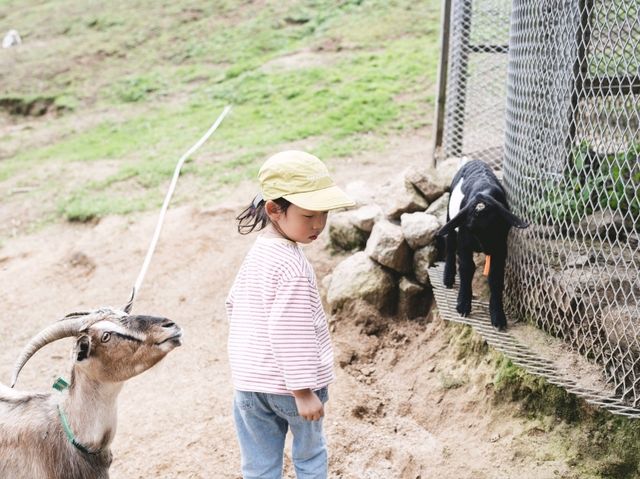 제주도같은데 제주도 아닌 곳