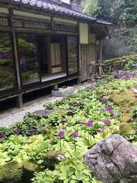 Spring Outing: Kochidani Amida-ji Temple