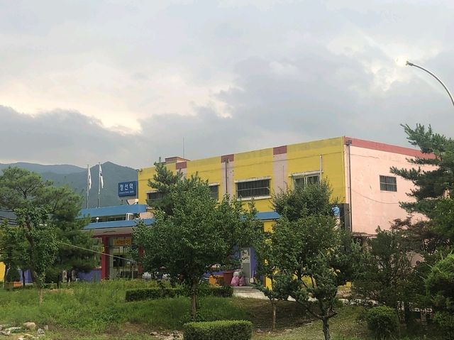 정선아리랑 열차