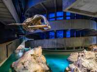 波士頓新英格蘭水族館