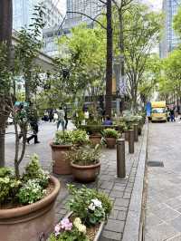 Spring Stroll on Marunouchi Naka-Dori Ave