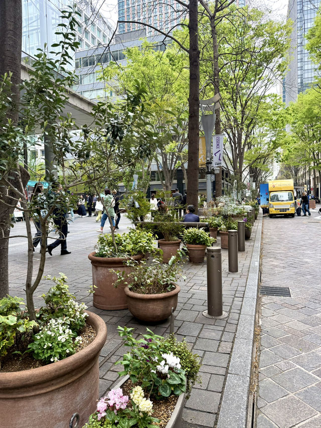 Spring Stroll on Marunouchi Naka-Dori Ave