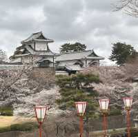 相比京都，金澤、福井更自在!
