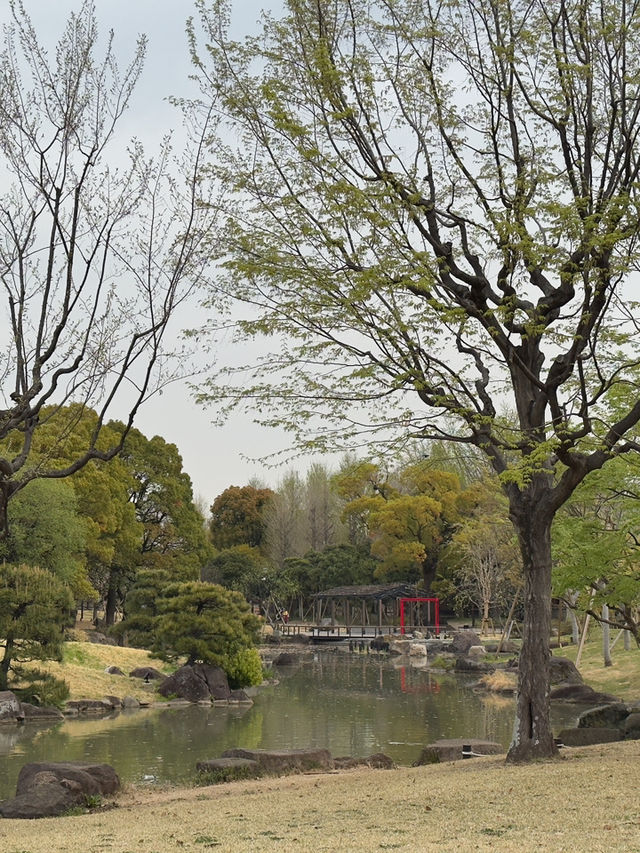 東京景點｜隅田公園 