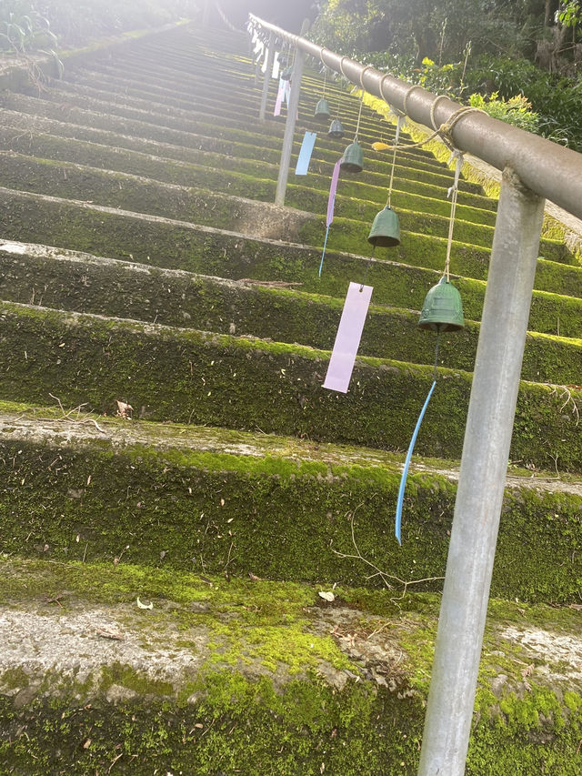【日本🇯🇵】熊本八代　日奈久温泉
