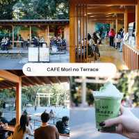 เสน่ห์แห่งโตเกียว – เมืองหลวงที่ไม่เคยหลับใหล