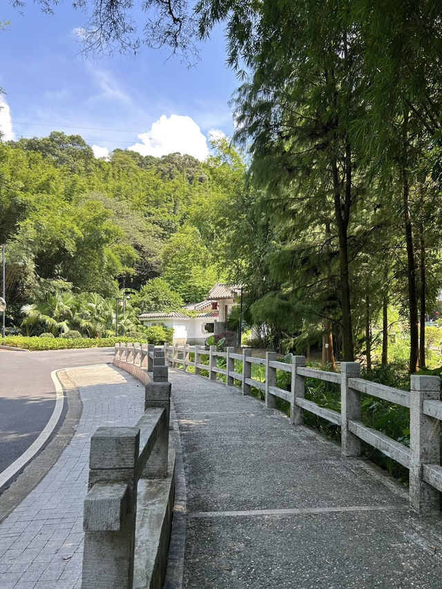 A Breezy Climb to Baiyun Mountain, Guangzhou