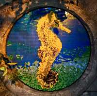 JOURNEY BENEATH THE WAVES | DISCOVER SEA LIFE MALAYSIA TODAY !