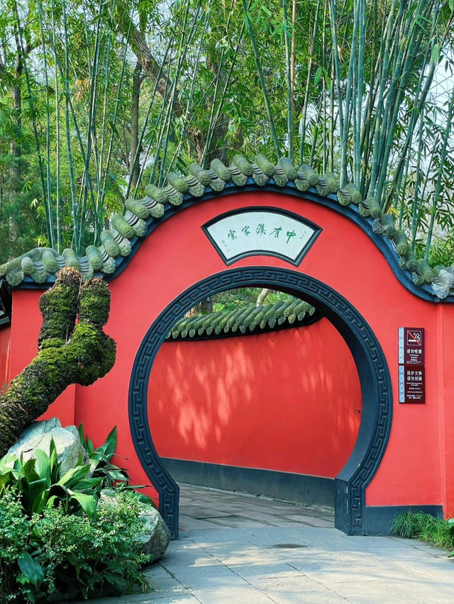 Wuhou Shrine: Chengdu’s Crown Jewel of Three Kingdoms History