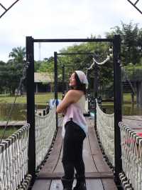 รีวิว เขาค้อ One Day Trip
