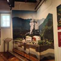 A Journey Through Nature: National Museum of Natural History 