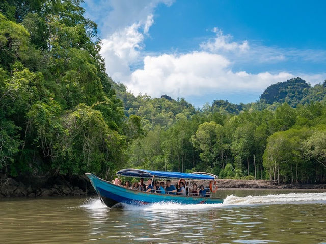 Kilim Karst Geoforest Park – Langkawi’s Mangrove Paradise** 🌿🦅