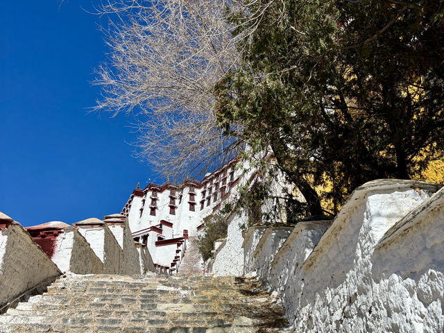 Wait… This Isn’t a Dream? Springtime at the Potala Palace Feels Unreal!