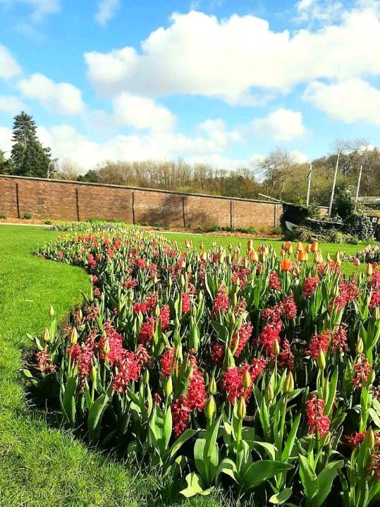 Pollok Country Park