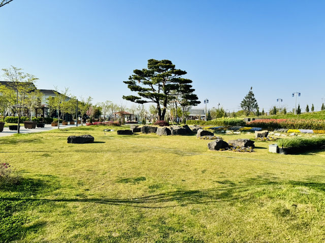Play, Pets & Plants—Pyeongtaek Fun!