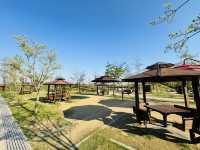 Play, Pets & Plants—Pyeongtaek Fun!
