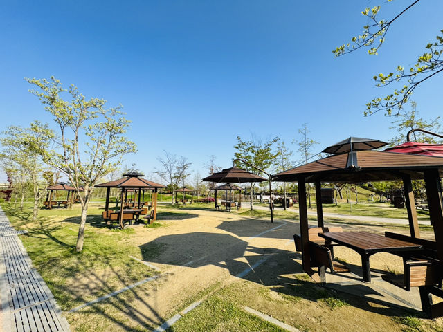 Play, Pets & Plants—Pyeongtaek Fun!