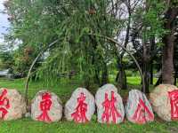 #臺東森林公園-臺東縣臺東市