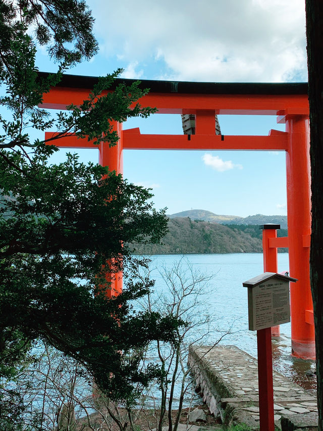 【神奈川⛩️箱根】必ず訪れたいパワースポット🐉龍神様