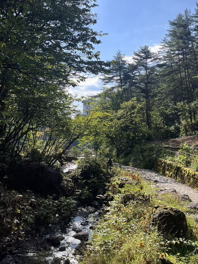 【群馬県】草津温泉でまったり♨️