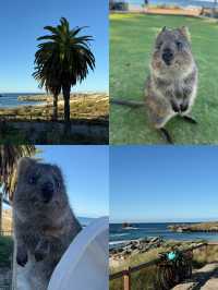 9 พิกัดเที่ยวเมือง Perth, Australia🦘🐨🇦🇺 
