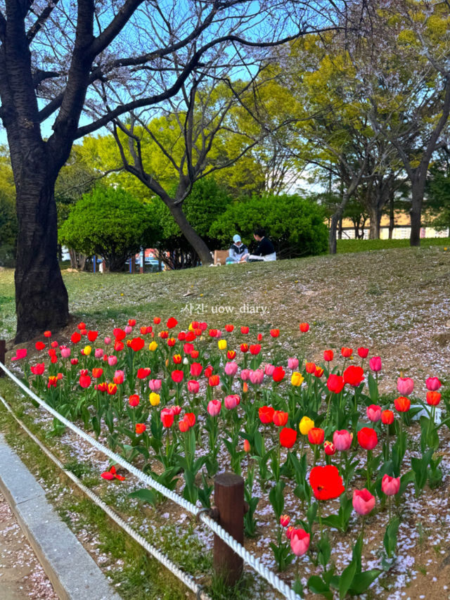 봄은 피크닉의 계절! 부산 및 근교 피크닉 공원 여행코스 🌱